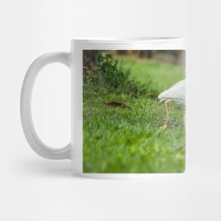 Cattle Egret 3 Mug